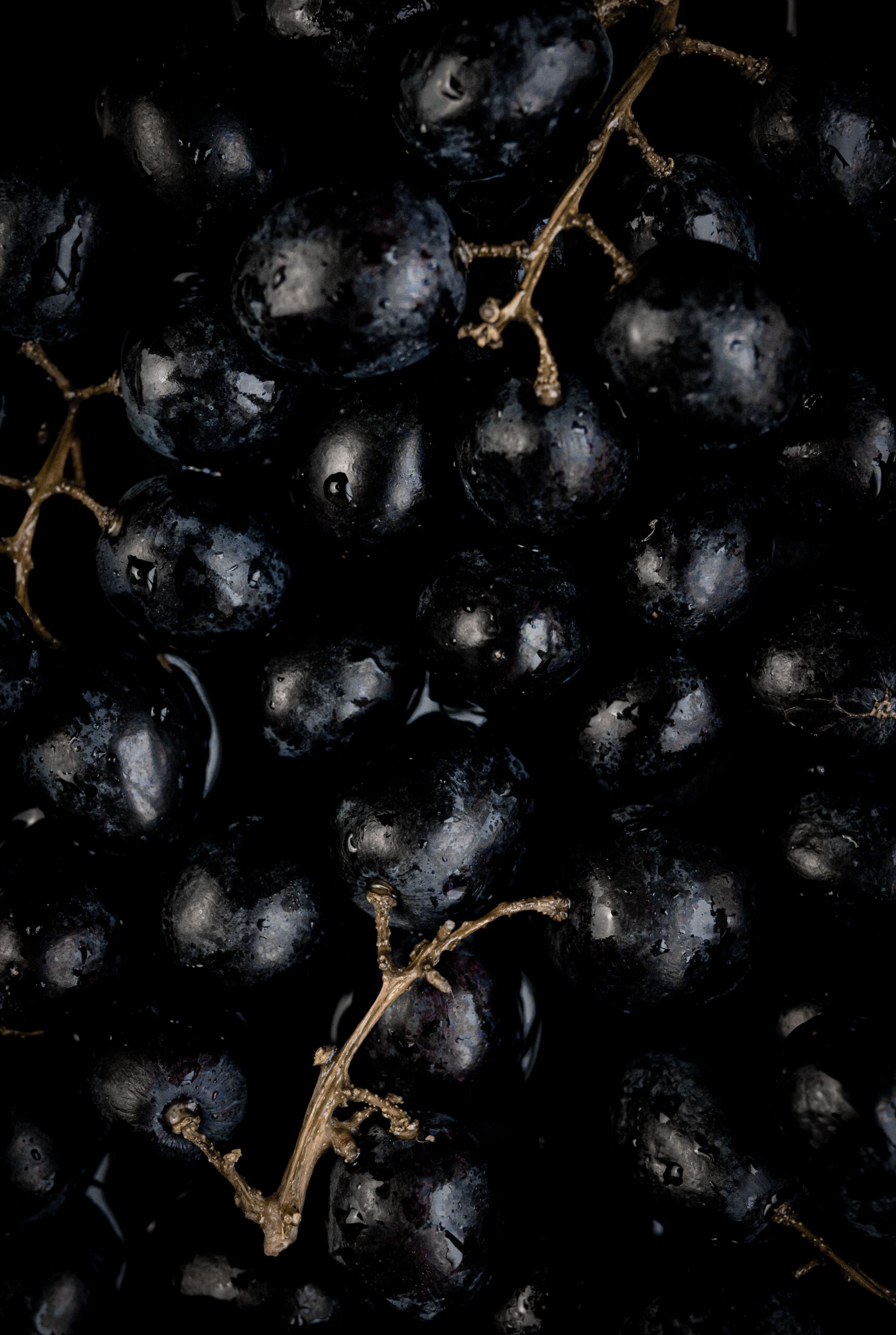 Fresh black grapes clustered closely against a dark backdrop, highlighting their organic texture and rich color.
